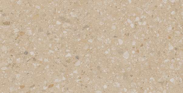 JP02 Light Beige 60.9x30.6 Неполированный (609x306)