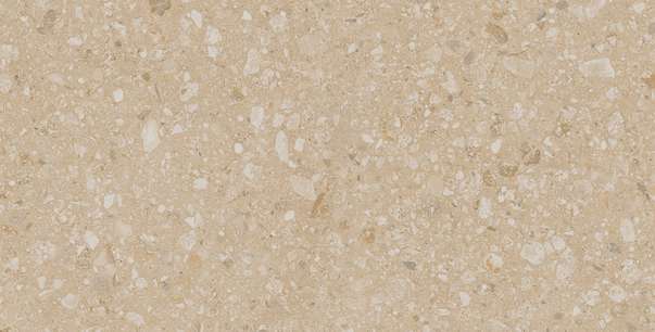 JP02 Light Beige 60.9x30.6 Неполированный (609x306)