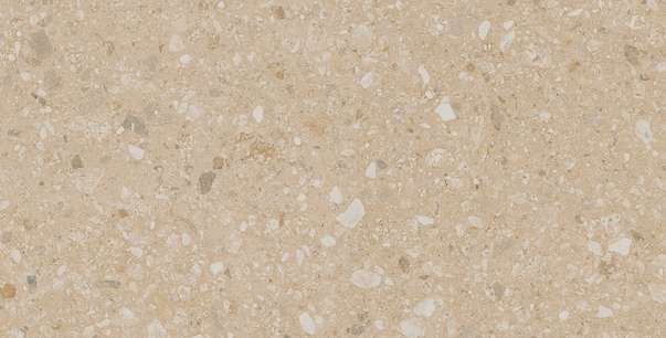 JP02 Light Beige 60.9x30.6 Неполированный (609x306)