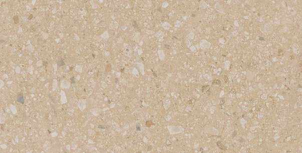 JP02 Light Beige 60.9x30.6 Неполированный (609x306)