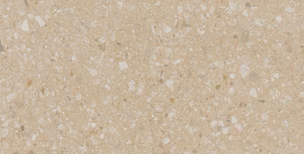 JP02 Light Beige 60.9x30.6 Неполированный (609x306)