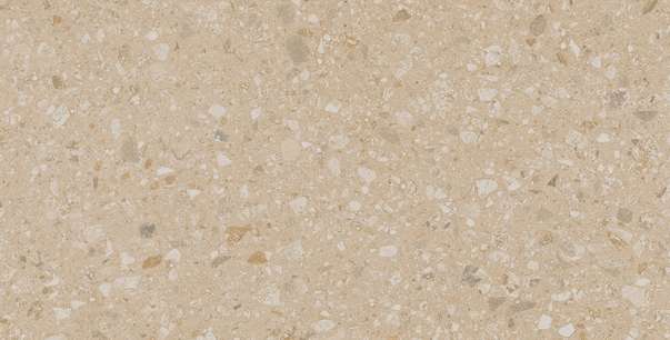 JP02 Light Beige 60.9x30.6 Неполированный (609x306)