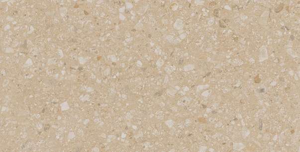 JP02 Light Beige 60.9x30.6 Неполированный (609x306)