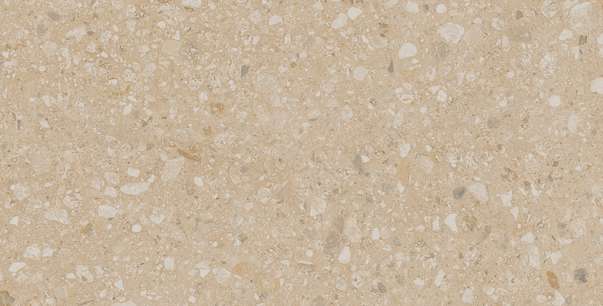 JP02 Light Beige 60.9x30.6 Неполированный (609x306)