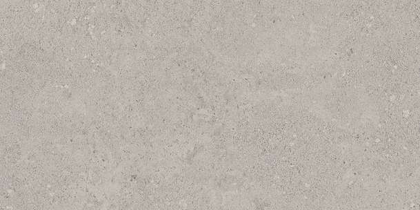 NP01 Light Grey Неполированный 60.9x30.6 (609x306)