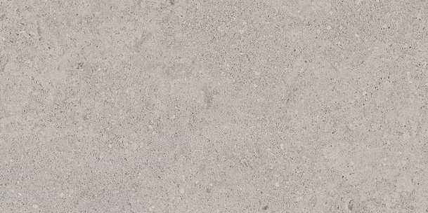 NP01 Light Grey Неполированный 60.9x30.6 (609x306)