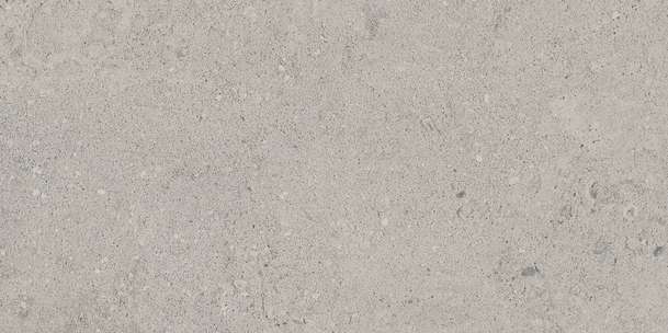 NP01 Light Grey Неполированный 60.9x30.6 (609x306)