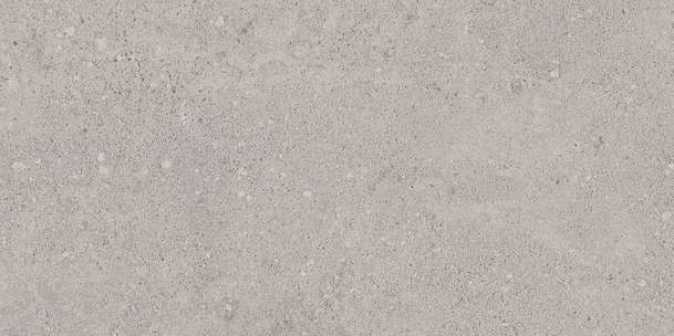 NP01 Light Grey Неполированный 60.9x30.6 (609x306)