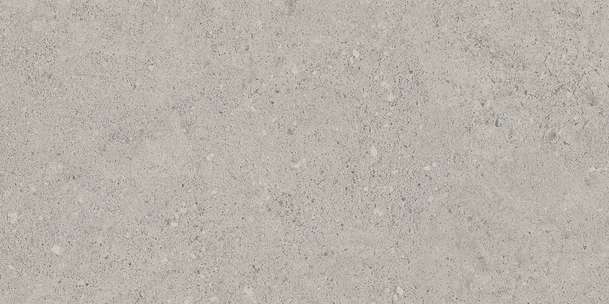 NP01 Light Grey Неполированный 60.9x30.6 (609x306)