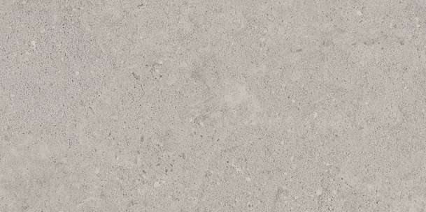 NP01 Light Grey Неполированный 60.9x30.6 (609x306)