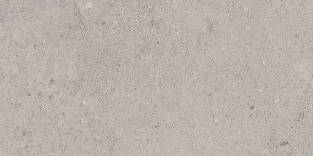 NP01 Light Grey Неполированный 60.9x30.6 (609x306)