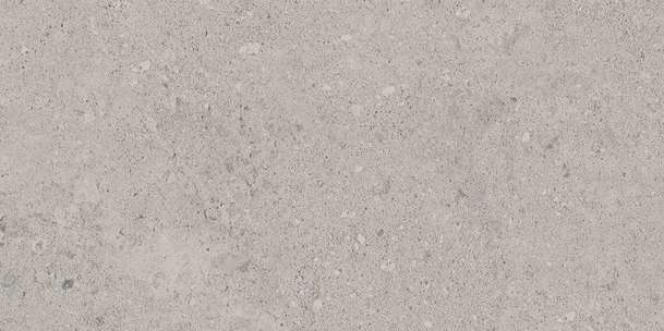 NP01 Light Grey Неполированный 60.9x30.6 (609x306)