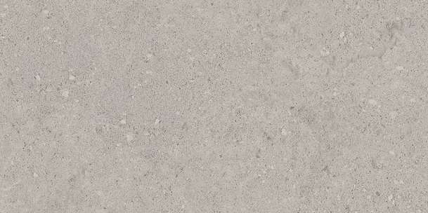 NP01 Light Grey Неполированный 60.9x30.6 (609x306)