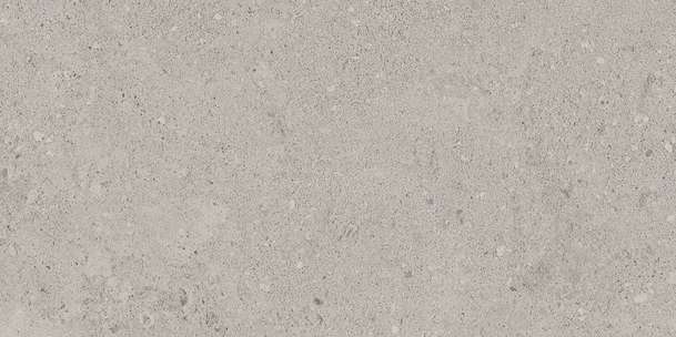 NP01 Light Grey Неполированный 60.9x30.6 (609x306)