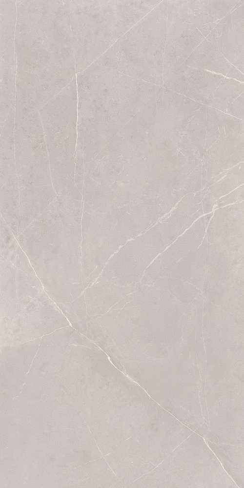 NL02 Light Grey 60x120 Неполированный Рект. (600x1200)