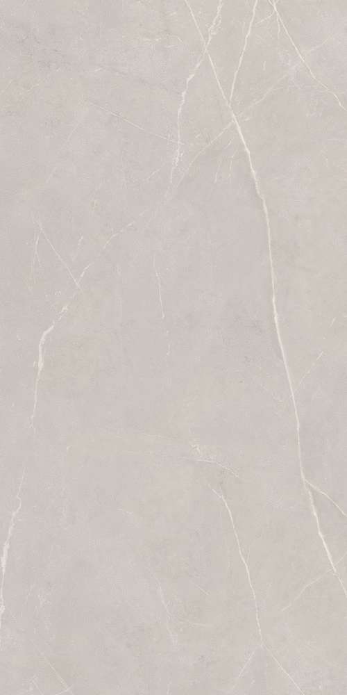 NL02 Light Grey 60x120 Неполированный Рект. (600x1200)