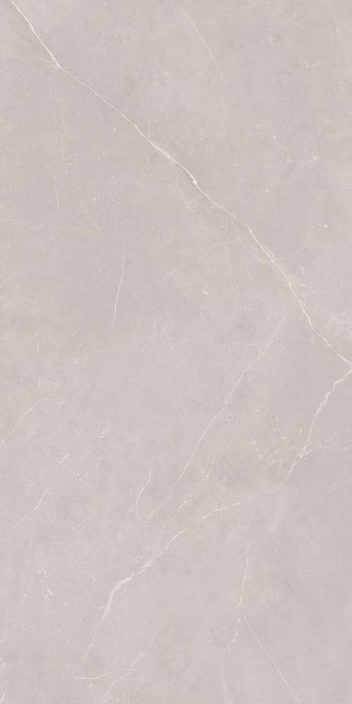 NL02 Light Grey 60x120 Неполированный Рект. (600x1200)