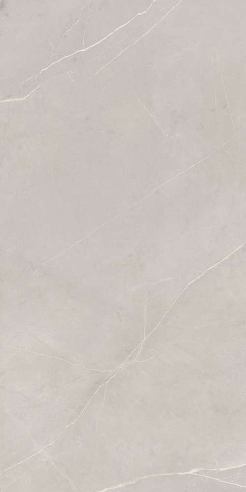 NL02 Light Grey 60x120 Неполированный Рект. (600x1200)