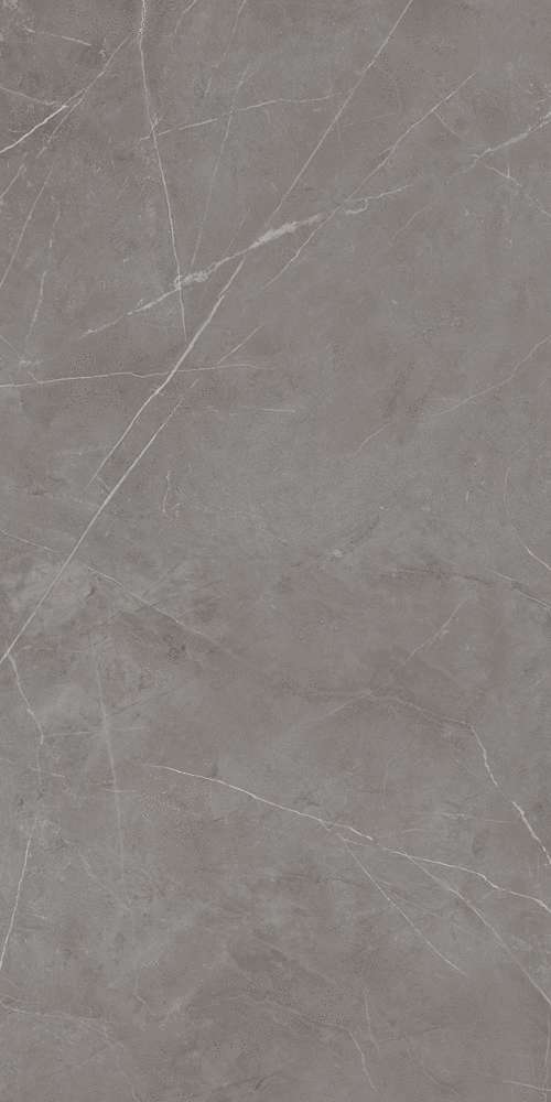 NL03 Dark Grey 60x120 Неполированный Рект. (600x1200)