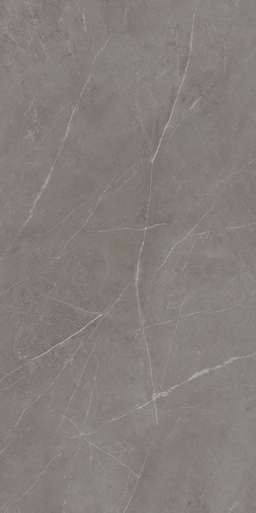 NL03 Dark Grey 60x120 Неполированный Рект. (600x1200)