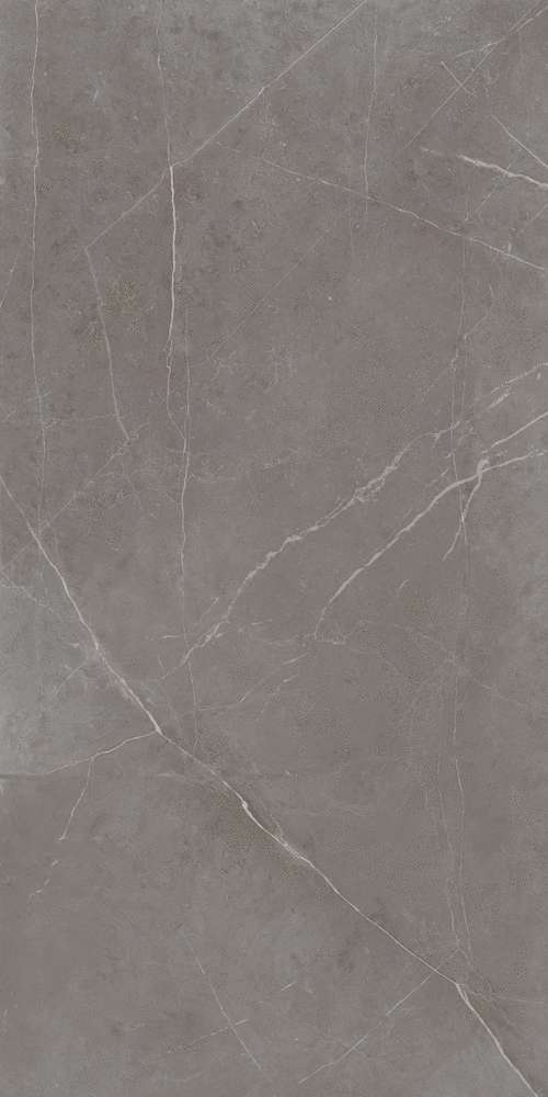 NL03 Dark Grey 60x120 Неполированный Рект. (600x1200)