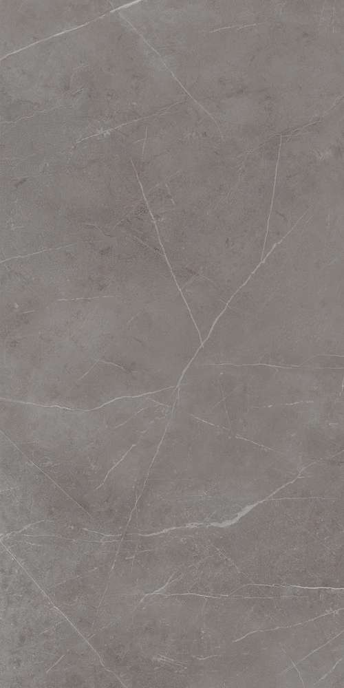 NL03 Dark Grey 60x120 Неполированный Рект. (600x1200)