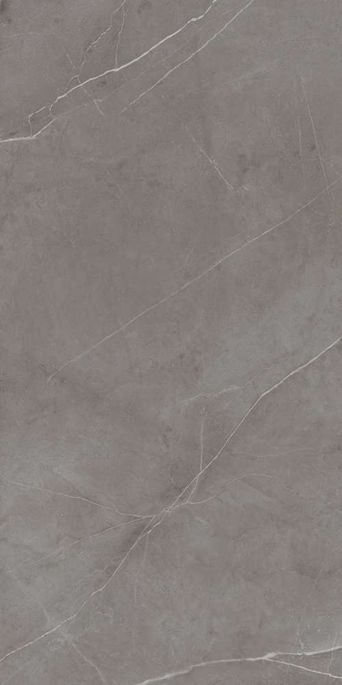 NL03 Dark Grey 60x120 Неполированный Рект. (600x1200)