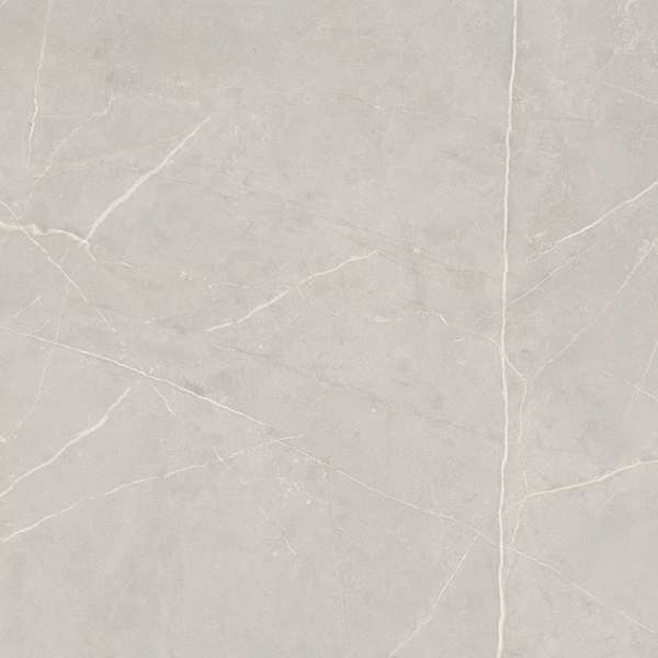 NL02 Light Grey 60x60 Неполированный Рект. (600x600)