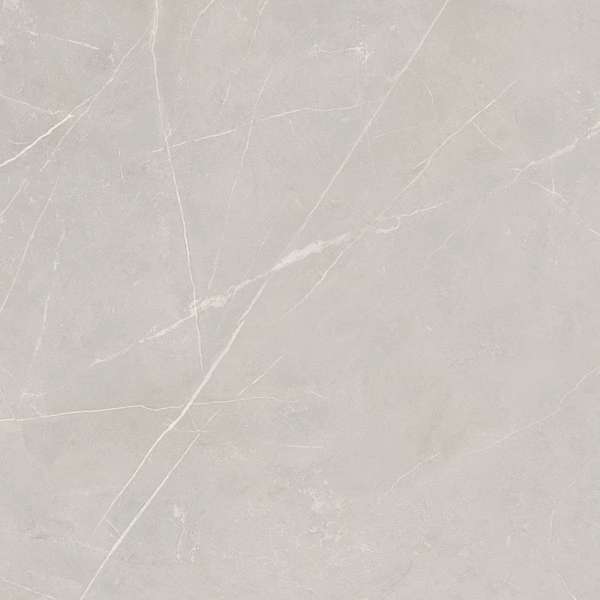 NL02 Light Grey 60x60 Неполированный Рект. (600x600)