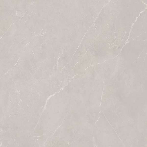 NL02 Light Grey 60x60 Неполированный Рект. (600x600)