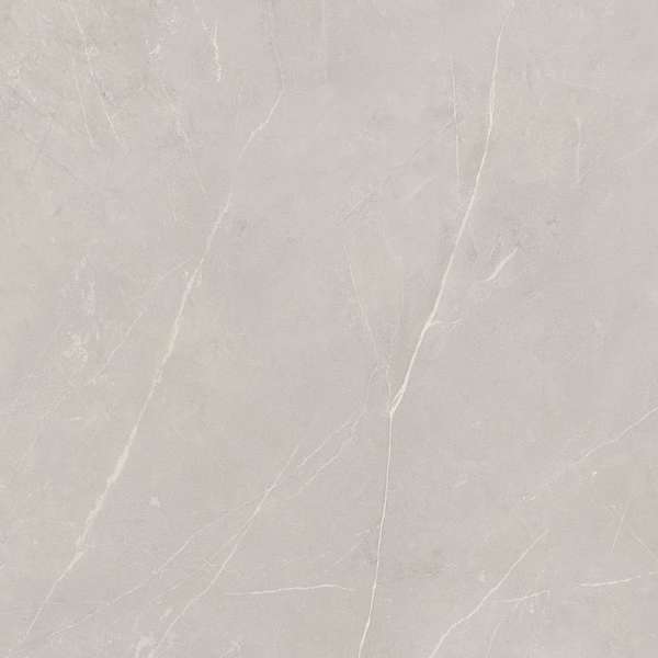 NL02 Light Grey 60x60 Неполированный Рект. (600x600)