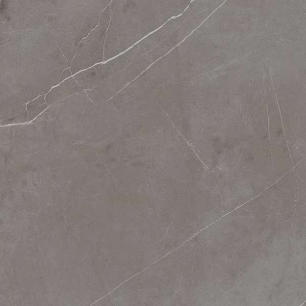 NL03 Dark Grey 60x60 Неполированный Рект. (600x600)