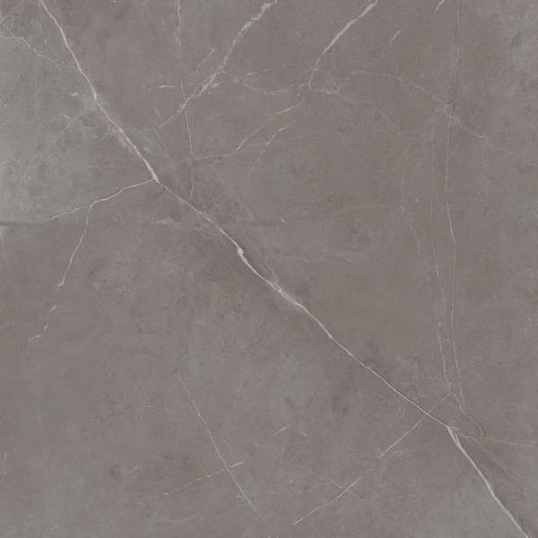 NL03 Dark Grey 60x60 Неполированный Рект. (600x600)