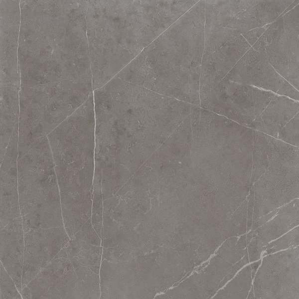 NL03 Dark Grey 60x60 Неполированный Рект. (600x600)