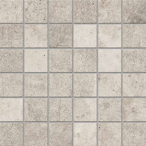 EE01 Light Grey (5х5) 30x30 Неполированная (300x300)