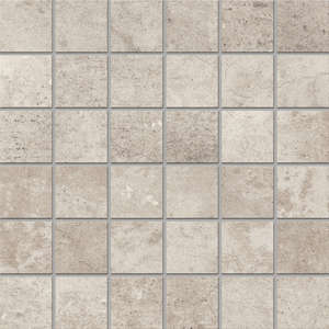 EE01 Light Grey (5х5) 30x30 Неполированная (300x300)