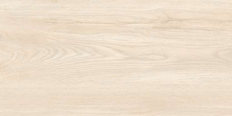 Eternal Oak Beige Matt 60x120