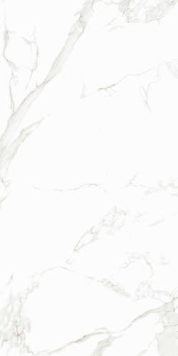 White 0005 25x50 (250x500)