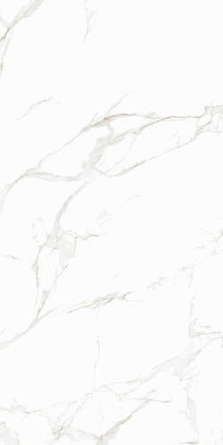 White 0005 25x50 (250x500)