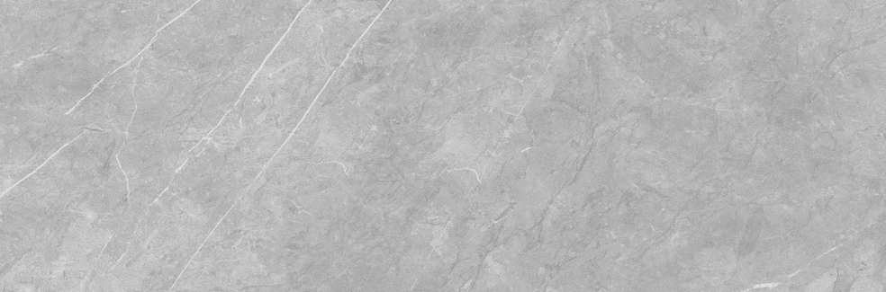 Gray 793 32.5х100 (1000x325)