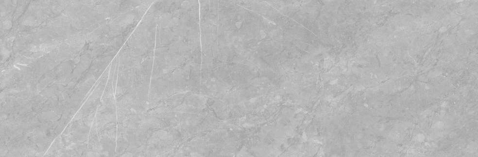 Gray 793 32.5х100 (1000x325)