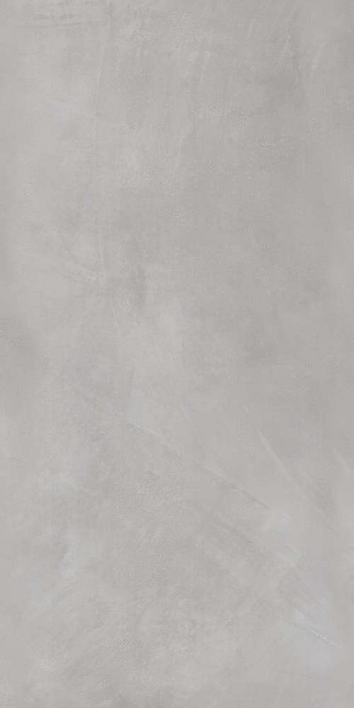 Gray Light 322 60x120 (600x1200)