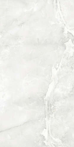 Light Grey 0008 25x50 (250x500)