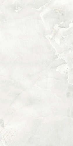 Light Grey 0008 25x50 (250x500)