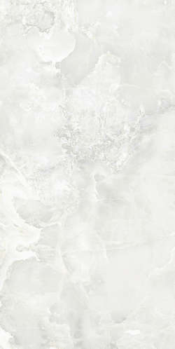 Light Grey 0008 25x50 (250x500)