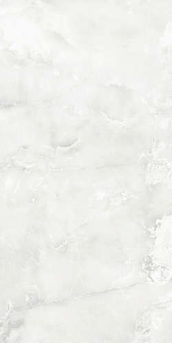 Light Grey 0008 25x50 (250x500)