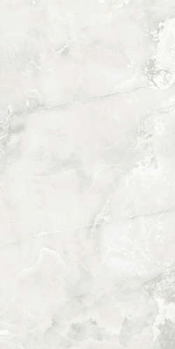 Light Grey 0008 25x50 (250x500)