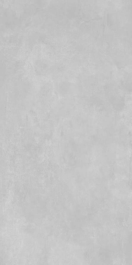 Light Grey Mat.60x120 (600x1200)