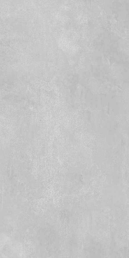 Light Grey Mat.60x120 (600x1200)