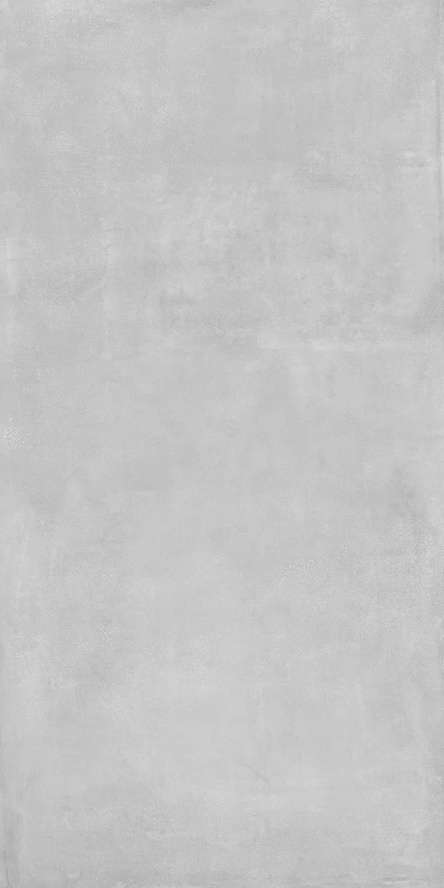 Light Grey Mat.60x120 (600x1200)